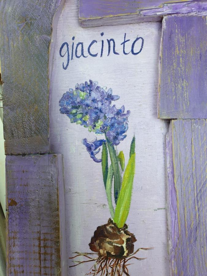 B & B La Primavera Pergola Eksteriør bilde