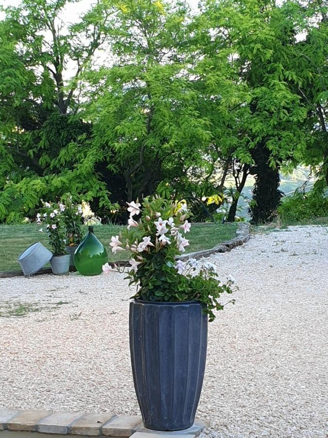 B & B La Primavera Pergola Eksteriør bilde